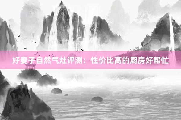 好妻子自然气灶评测：性价比高的厨房好帮忙