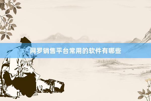 网罗销售平台常用的软件有哪些