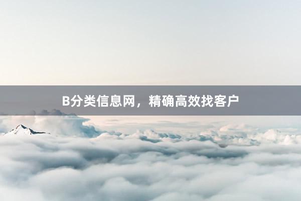 B分类信息网,精确高效找客户